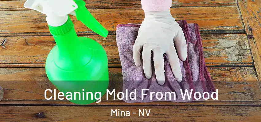  Cleaning Mold From Wood Mina - NV