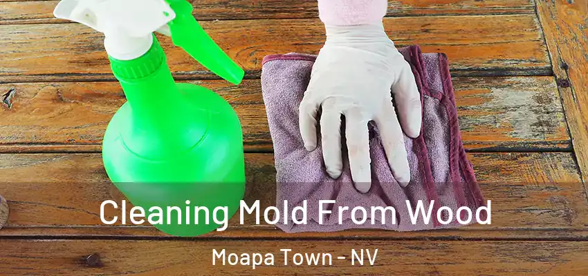  Cleaning Mold From Wood Moapa Town - NV