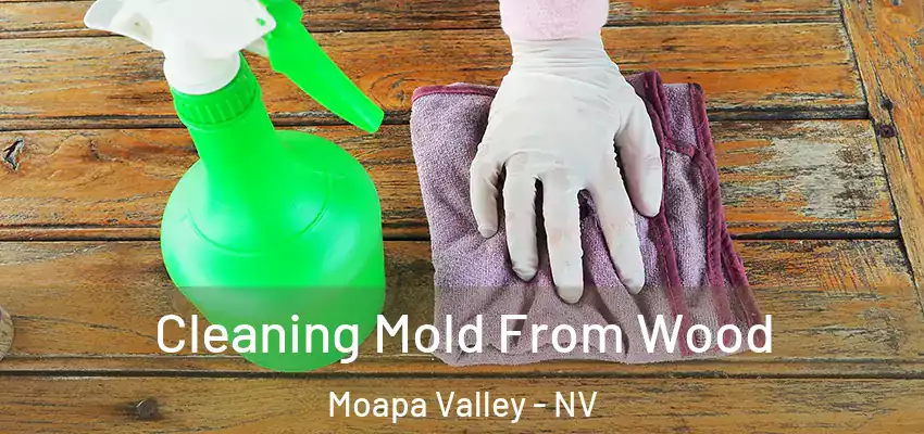  Cleaning Mold From Wood Moapa Valley - NV