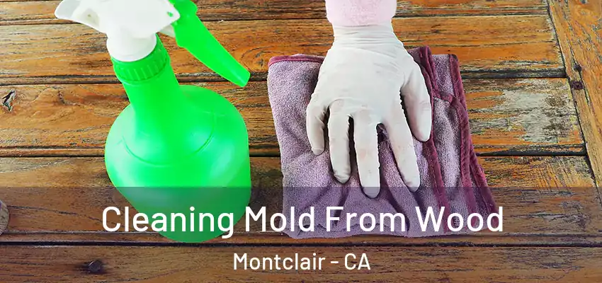  Cleaning Mold From Wood Montclair - CA
