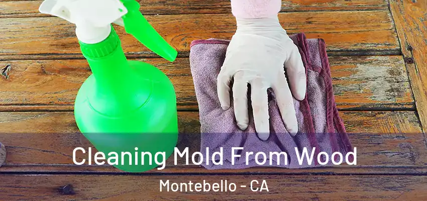  Cleaning Mold From Wood Montebello - CA