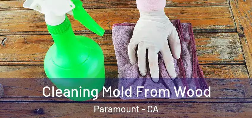  Cleaning Mold From Wood Paramount - CA