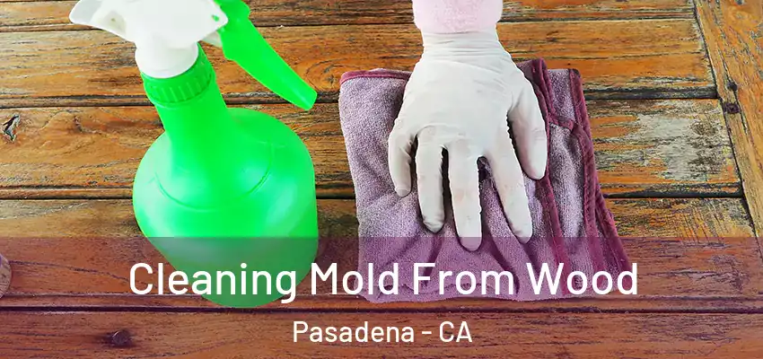  Cleaning Mold From Wood Pasadena - CA