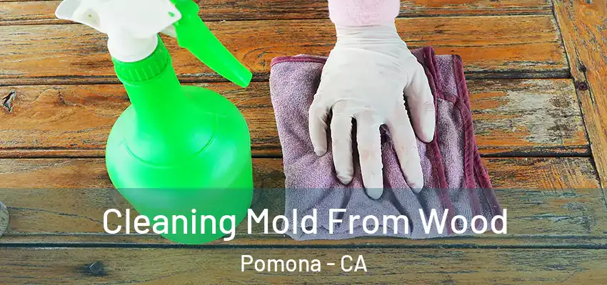  Cleaning Mold From Wood Pomona - CA
