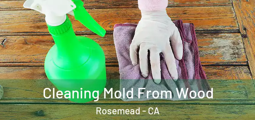  Cleaning Mold From Wood Rosemead - CA