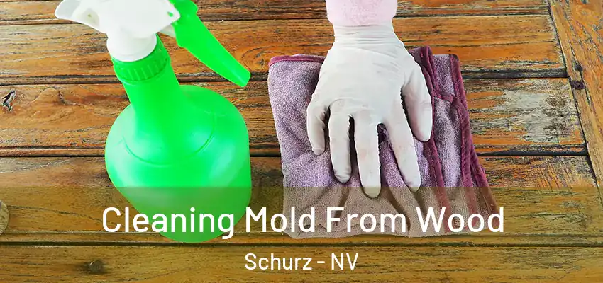 Cleaning Mold From Wood Schurz - NV