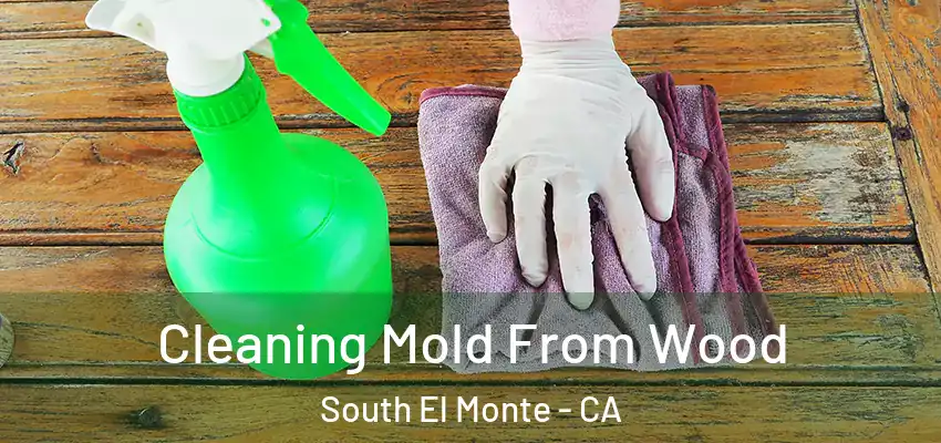  Cleaning Mold From Wood South El Monte - CA