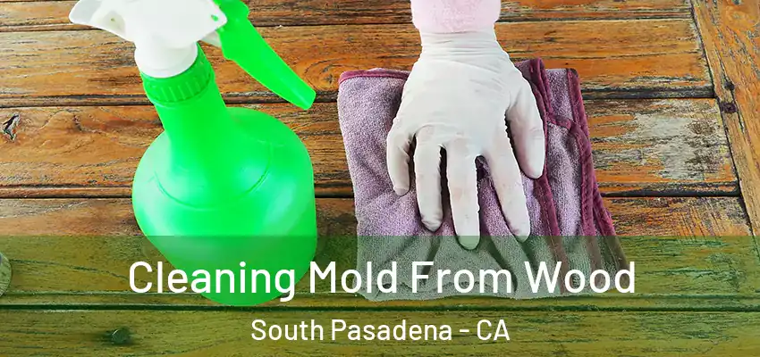  Cleaning Mold From Wood South Pasadena - CA