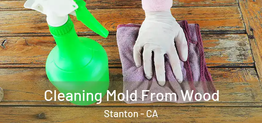  Cleaning Mold From Wood Stanton - CA