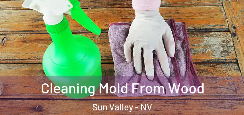 Cleaning Mold From Wood Sun Valley - NV