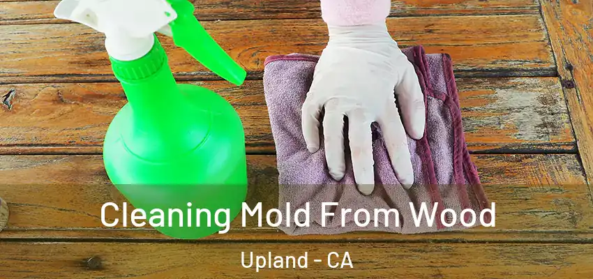  Cleaning Mold From Wood Upland - CA