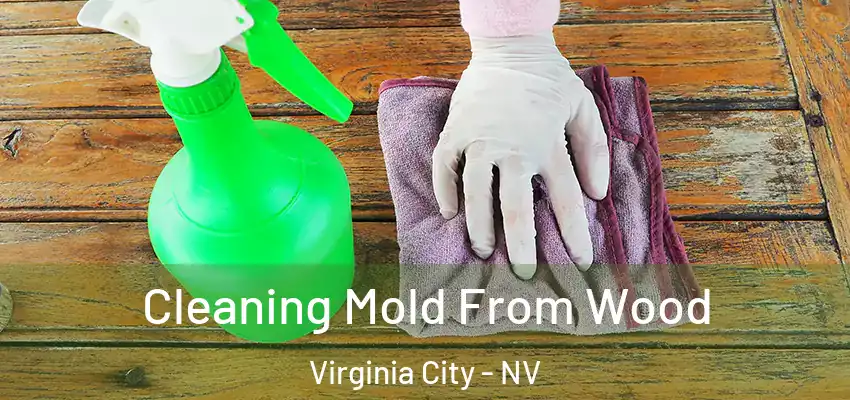 Cleaning Mold From Wood Virginia City - NV
