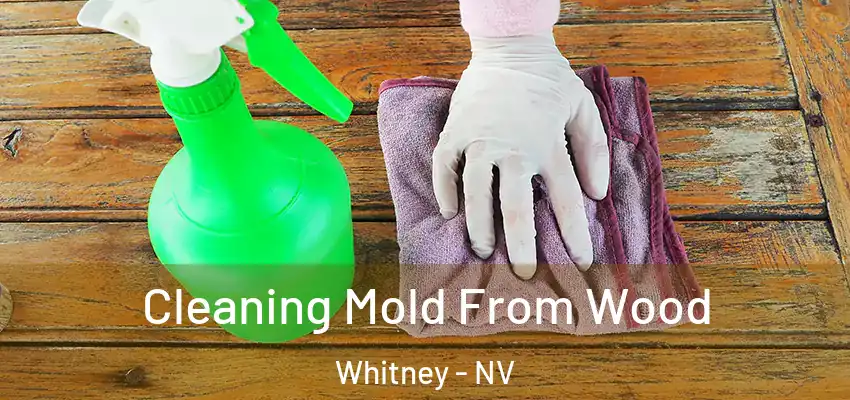  Cleaning Mold From Wood Whitney - NV