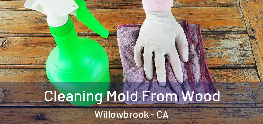  Cleaning Mold From Wood Willowbrook - CA