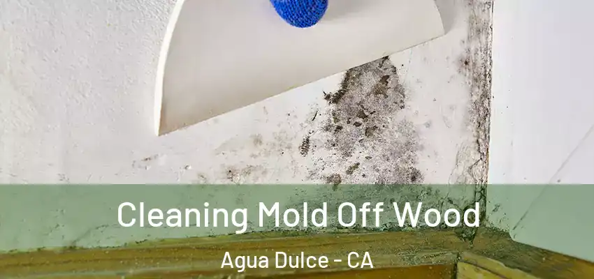  Cleaning Mold Off Wood Agua Dulce - CA