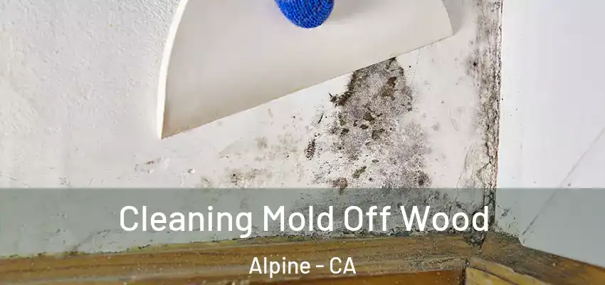  Cleaning Mold Off Wood Alpine - CA