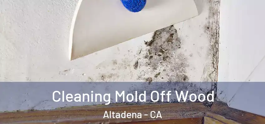  Cleaning Mold Off Wood Altadena - CA