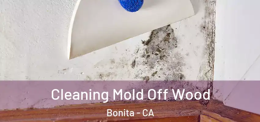 Cleaning Mold Off Wood Bonita - CA