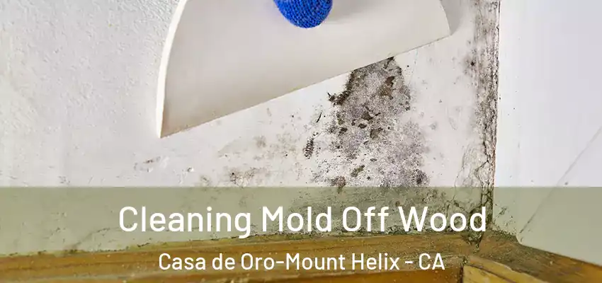  Cleaning Mold Off Wood Casa de Oro-Mount Helix - CA