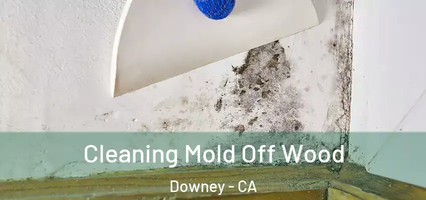  Cleaning Mold Off Wood Downey - CA