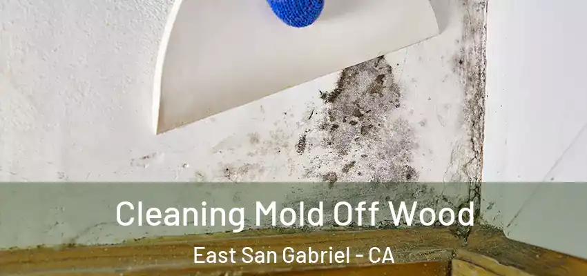 Cleaning Mold Off Wood East San Gabriel - CA