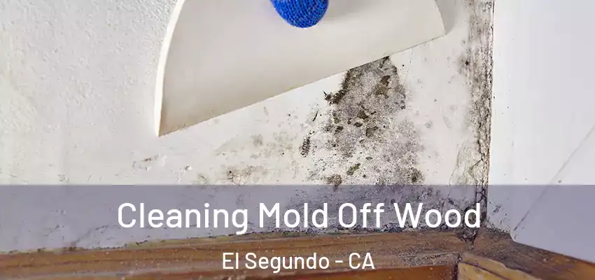  Cleaning Mold Off Wood El Segundo - CA