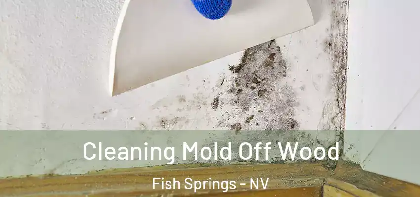 Cleaning Mold Off Wood Fish Springs - NV