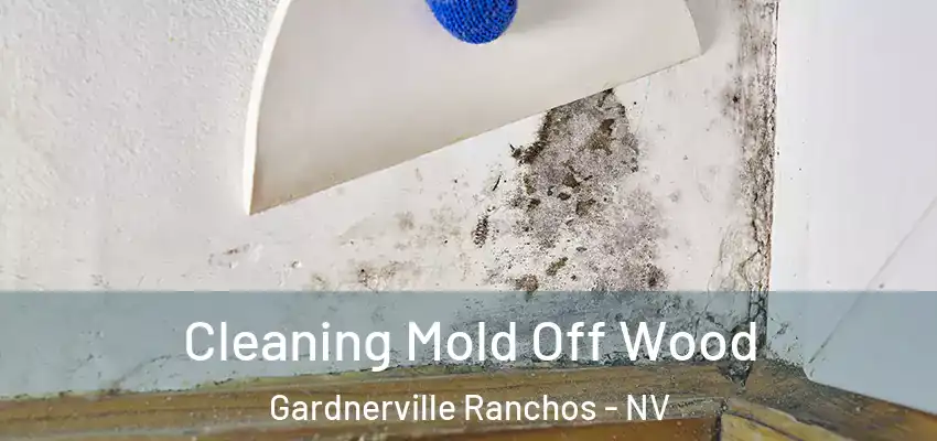 Cleaning Mold Off Wood Gardnerville Ranchos - NV