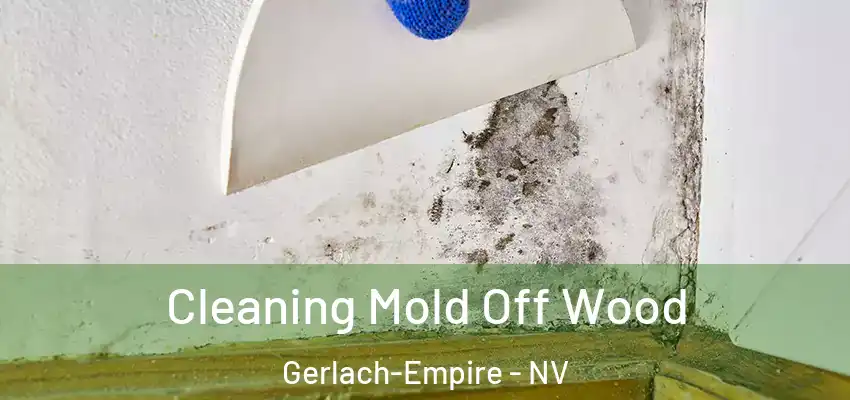 Cleaning Mold Off Wood Gerlach-Empire - NV