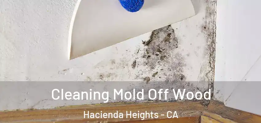 Cleaning Mold Off Wood Hacienda Heights - CA