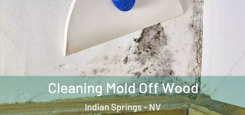 Cleaning Mold Off Wood Indian Springs - NV