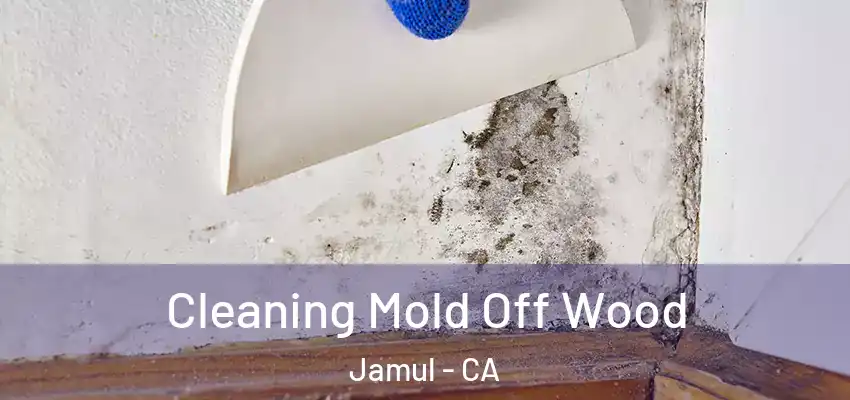  Cleaning Mold Off Wood Jamul - CA