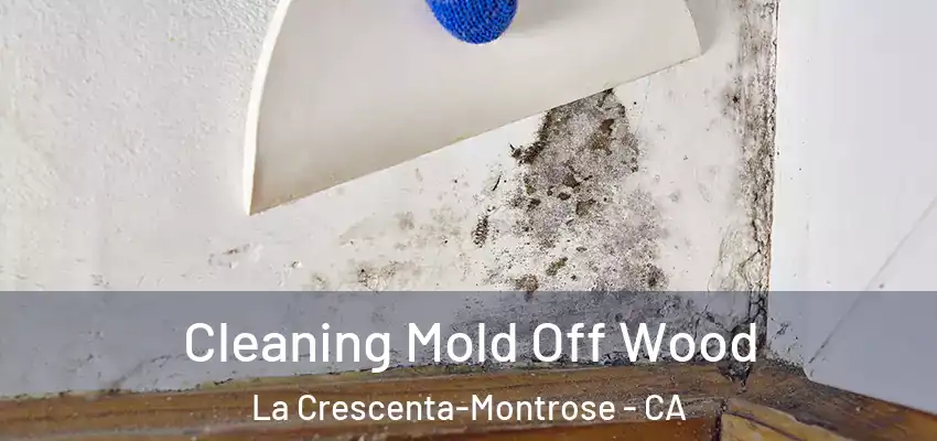 Cleaning Mold Off Wood La Crescenta-Montrose - CA