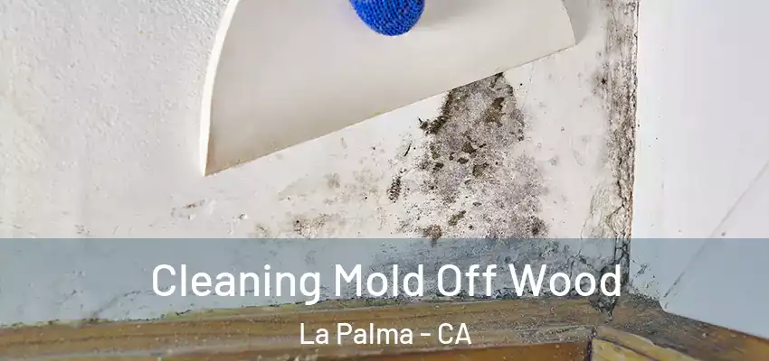 Cleaning Mold Off Wood La Palma - CA