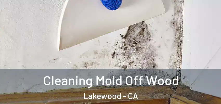 Cleaning Mold Off Wood Lakewood - CA