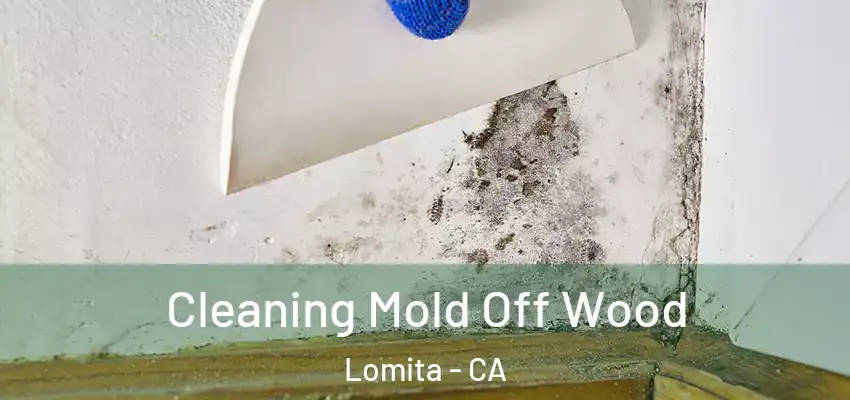  Cleaning Mold Off Wood Lomita - CA