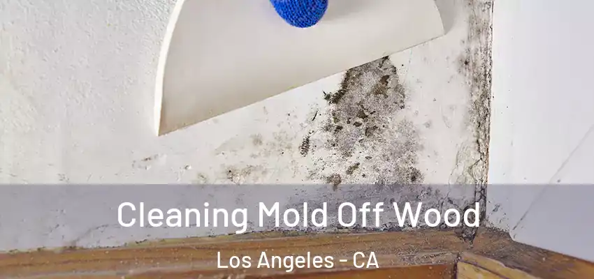  Cleaning Mold Off Wood Los Angeles - CA