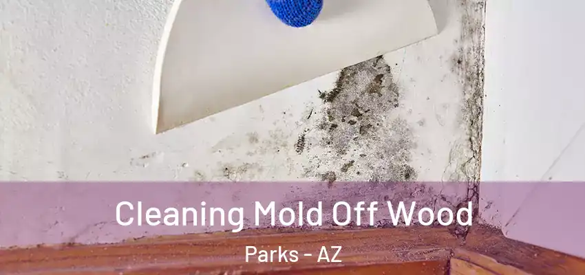  Cleaning Mold Off Wood Parks - AZ