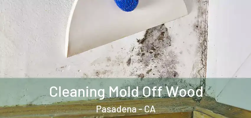  Cleaning Mold Off Wood Pasadena - CA
