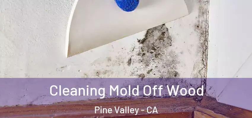  Cleaning Mold Off Wood Pine Valley - CA
