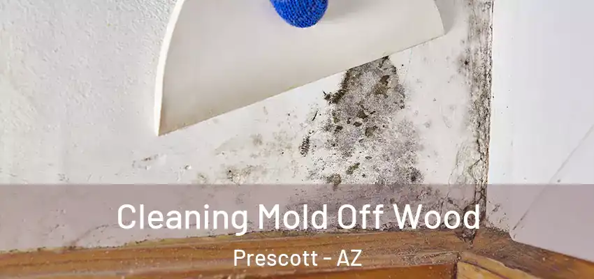  Cleaning Mold Off Wood Prescott - AZ