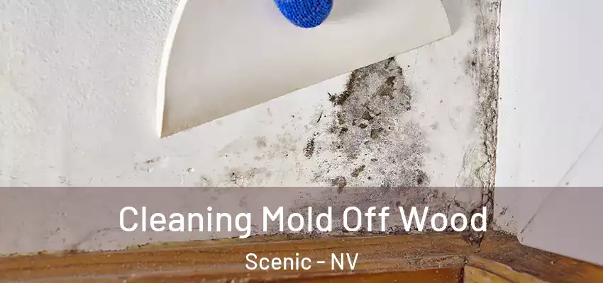 Cleaning Mold Off Wood Scenic - NV