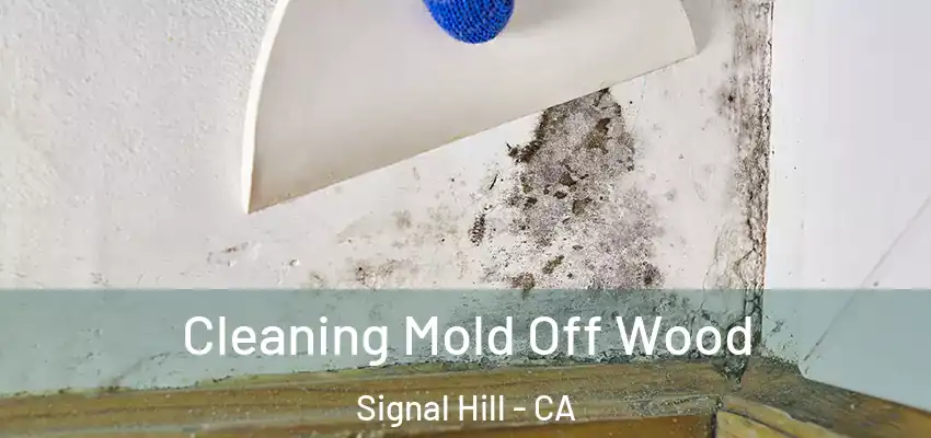 Cleaning Mold Off Wood Signal Hill - CA