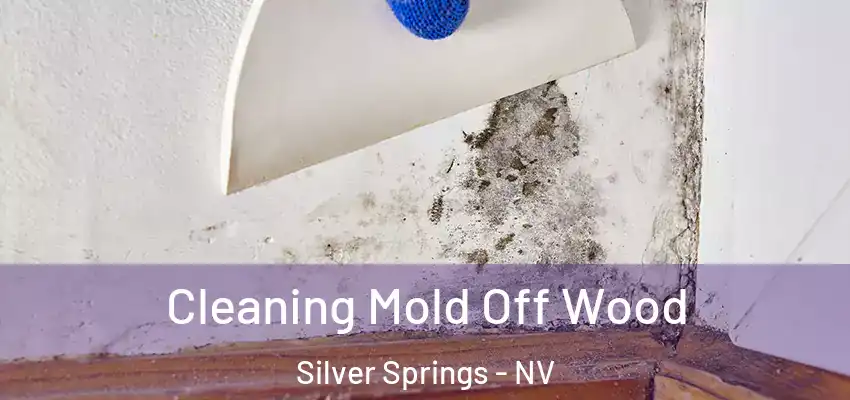 Cleaning Mold Off Wood Silver Springs - NV