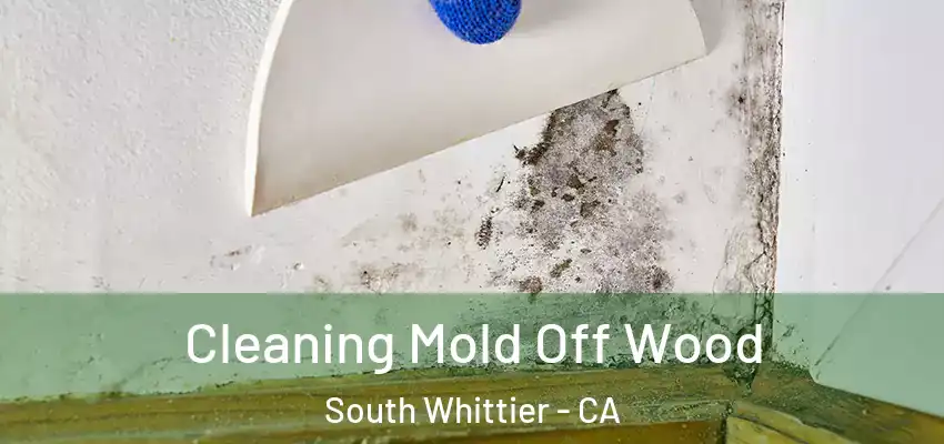 Cleaning Mold Off Wood South Whittier - CA