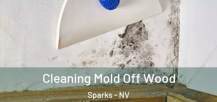 Cleaning Mold Off Wood Sparks - NV