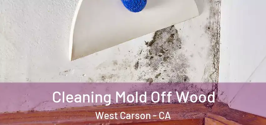  Cleaning Mold Off Wood West Carson - CA