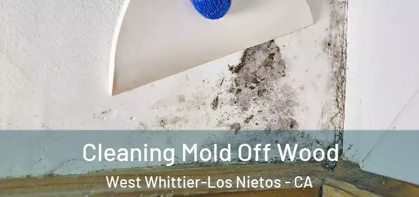 Cleaning Mold Off Wood West Whittier-Los Nietos - CA