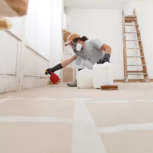 Reliable Mold Stain Remover Specialists in Flagstaff, AZ