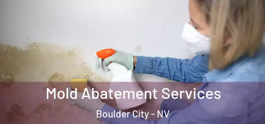  Mold Abatement Services Boulder City - NV